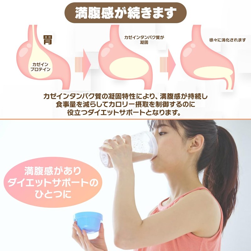 NICHIGA(ニチガ) カゼイン ミセル プロテイン 500ｇ [牛成長ホルモン不使用] Casein Protein 乳化剤甘味料香料不使用 プレーン味