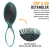 Wet Brush Pop & Go Detangler Assortment - 1 Ea,
