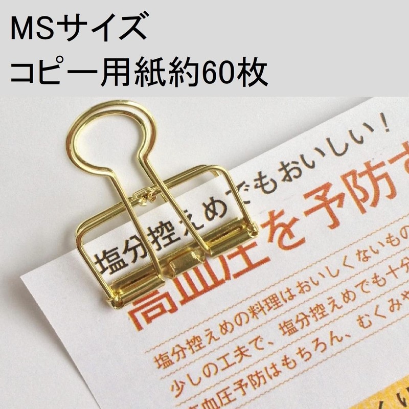 Suncake Com LC-MS20GD Lean Clip, MS 1.0 inches (25 mm),