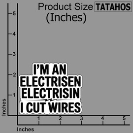 (3Pcs) I’m an Electrisen Electrisin Stickers Funny Sarcastic Quote Humor Motivational Inspirational Gifts Waterproof Vinyl Decals for Kindle Water Bottle Bumper Car Hard Hat Phone Laptop 3x2.7