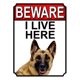 BEWARE I LIVE HERE METAL GATE SIGN GERMAN SHEPHERD 200MM X 10MM (1066H1)