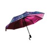 Kaffe Fassett Umbrella Magenta Notion, Pink