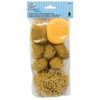 Royal & Langnickel - Crafters Choice 8pc Pack of Assorted