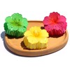 6 Pack Flower Hair Claw Clips for Women - Non-Slip