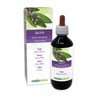 Sage (Salvia officinalis) Leaves Alcohol-Free Original Tincture Natural Alma Liquid