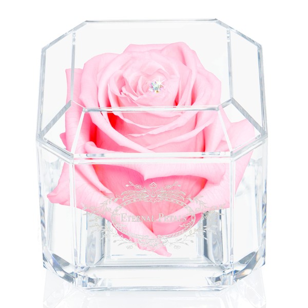 Eternal Petals A 100% Real Rose That Lasts Years, Handmade in UK – White Gold Solo with A Multicolor Swarovski Crystal (Light Pink)