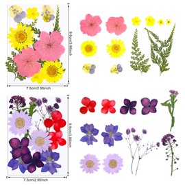 MWOOT Pack of 51 DIY Crafts Dried Flowers, Mix Flowers Petals, Yellow, Purple, Blue, Red, Pressed Flowers Leaves for Soaps Resin Pendant Making Decoration, Dried Flowers