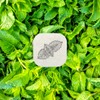 AROMA STICKERS® (Spearmint, Pack of 3-100% Natural Essential Oil Scented