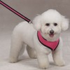 Casual Canine Mesh Dog Harness, X-Small, Pink