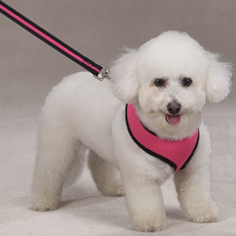 Casual Canine Mesh Dog Harness, X-Small, Pink