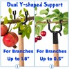 Coloch 20 Pack Metal Tree Branch Support, Y-Shape Tree Crutch