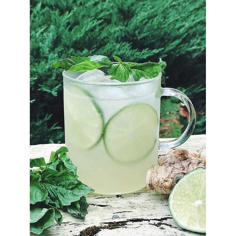 Portland Syrups Spicy Ginger Syrup (12 Fl Oz (Pack of