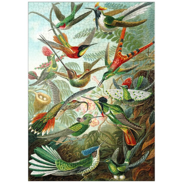 MyPuzzle Hummingbirds and Trochilidae (Hummingbirds), Vintage Art Poster, Ernst Haeckel
