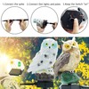 SmilingTown 2 Packs Owl Solar Lights Outdoor Figurine Lights Owl