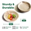 DISPOSABLE GREEN – Round Disposable Plates, Areca Leaf Serving Plates,
