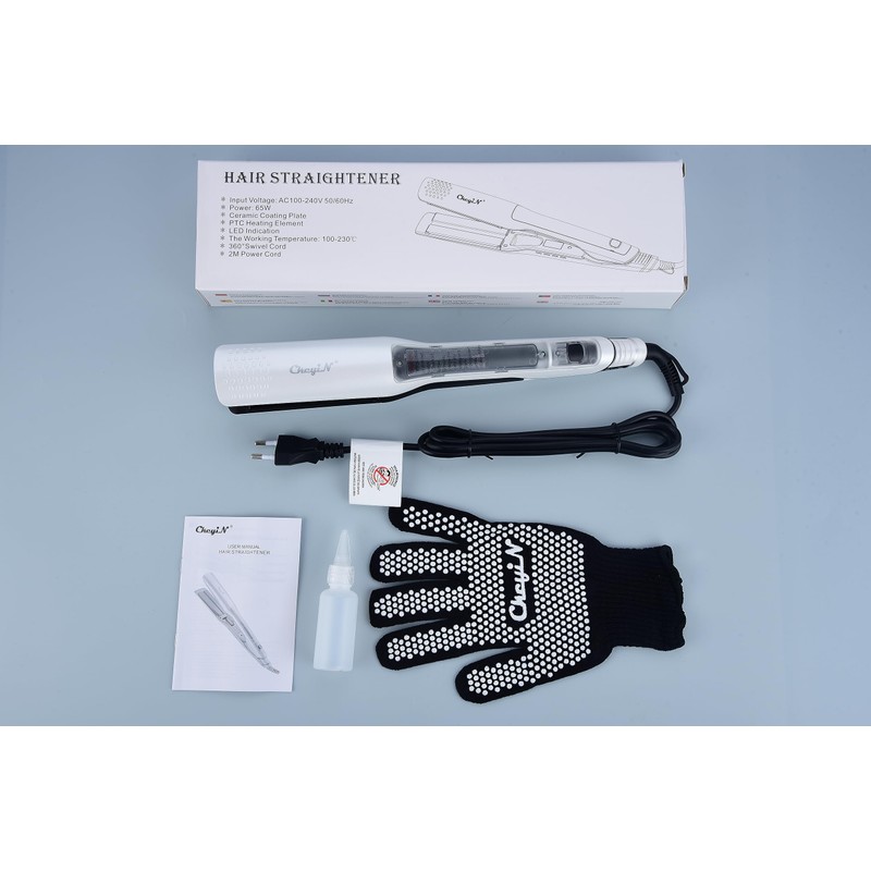 Professioneller Dampfglätter