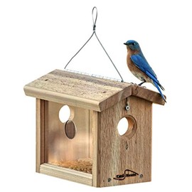 Kettle Moraine Cedar Hanging Bluebird Mealworm Feeder