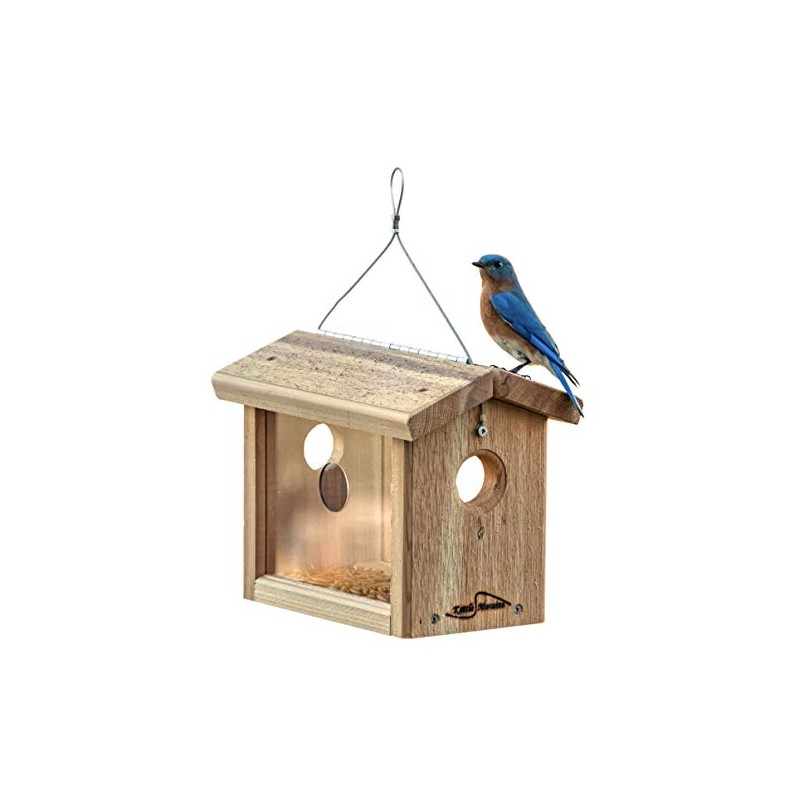 Kettle Moraine Cedar Hanging Bluebird Mealworm Feeder