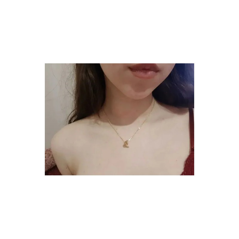 Collar Zodiacal Signo Del Zodíaco Dorado