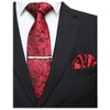 JEMYGINS Men's Stylish & Elegant Paisley Tie and Pocket Square