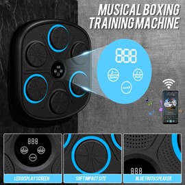 BIRDDIE Music Boxing Machine with Gloves, Wall Mounted Smart Bluetooth Music Boxer for Adults, Home Workout and Gym (with a Pair of Adult Gloves)