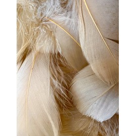 Light Brown Feathers, 100 Pack