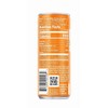 Red Bull Amber Edition Strawberry Apricot Energy Drink, 8.4 Fl