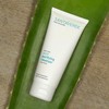 Santaverde Pure purifying cleanser / cleansing gel / facial cleansing