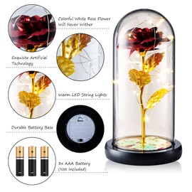 Qoosea Valentines Day for Girlfriend Women Beauty and The Beast Rose Forever Rose in Plastic Romantic Christmas Anniversary Valentine's Day Mother's Day Birthday - Red