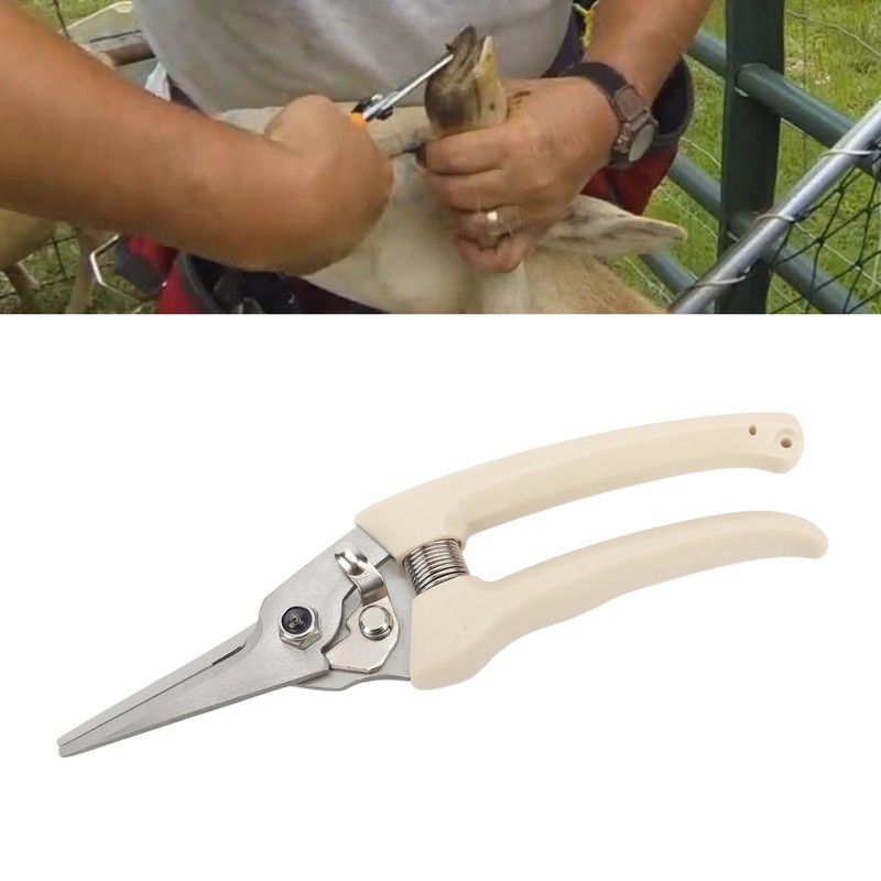 Hoof Trimmer White Goat Foot Shears Stainless Steel Carbon Steel