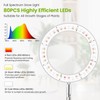 Kullsinss Grow Lights for Indoor Plants, 80 LEDs Full Spectrum