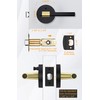 goldenwarm 1 Pack Black and Gold Interior Door Handle, Privacy