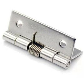 2Pcs Rannb Spring Hinge Self Opening 2 Inch Length Stainless Steel Hinge