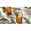 Muse Apothecary Room Ritual - Aromatic and Relaxing Room Mist,