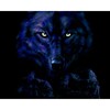 CafePress Midnight Wolf Sticker Square Bumper Sticker Car Decal