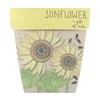 SOW 'N SOW Gift of Seeds - different styles, Thank