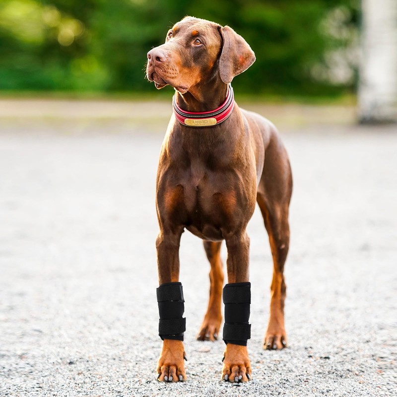ROZKITCH Dog Leg Protector for Rear Hock Joint or Front
