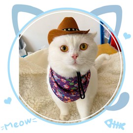 WATERBELINE Pet Headwear,Funny Cat Hat Cowboy Hat Costume Birthday Western Cowgirl Accessories Pet Headwear Adjustable Cap for Cosplay Cowboy