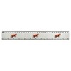 'Lazy Red Panda' 30cm (12 Inch) White Plastic Ruler (RL00072548)
