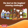 Whink Rust Stain Remover , 24.00 Fl Oz (Pack of
