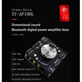 Hsthe Sea Bluetooth Amplifier Board HiFi Stereo 2 x 100W Audio Amplifier Module Digital Power Amplifier Bluetooth 5.0 Dual Channel AMP with AUX Input/USB/Bluetooth/Flash Drive/PC Sound Card