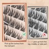 TOOCHUNAG TOOCHUNAG Lash Clusters 8-16MM Eyelash Clusters 100pcs C Curl