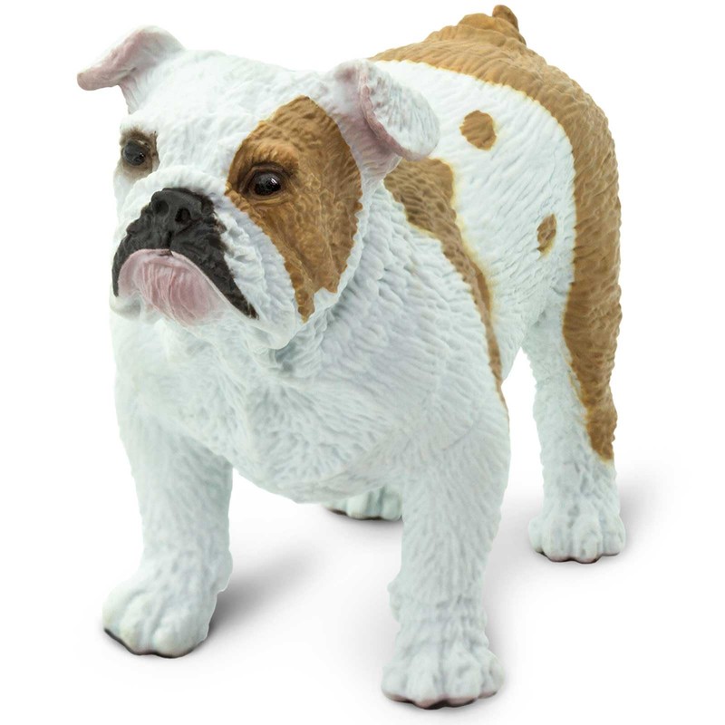 Safari Ltd. Bulldog Figurine - Lifelike 2.25" Model Figure -