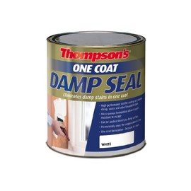 One Coat Damp Seal 250 ml - RSLTOCDS250