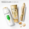 Pantene Crema para Peinar Pro-V Repara 300 ml