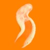PIN UP SECRET - Secret Booster d'Éclat - Solid Face
