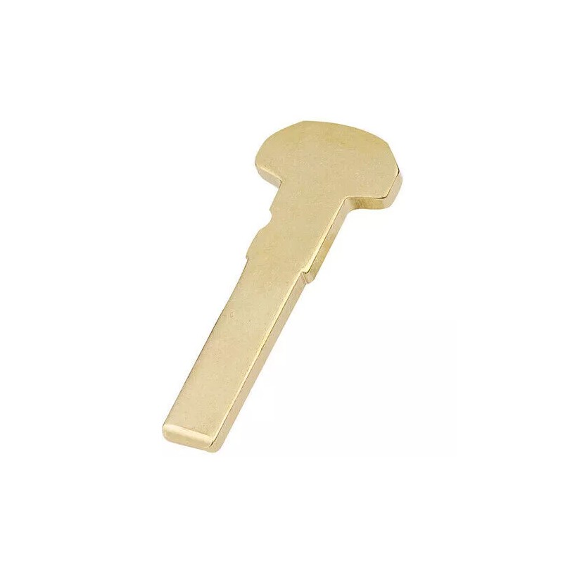 KEYECU 2 Uncut Insert Emergency Key Blade Fob for 2015-2020