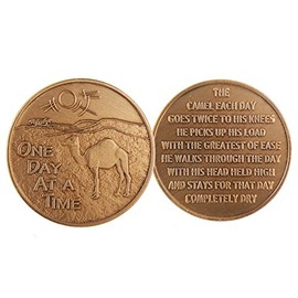 Wendells Camel Poem One Day At A Time Desert Scene Sun AA Medallion Bronze Chip