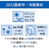 [KANEYAMA] 2023夏用冷感マスク 5Dマスク【カケン試験済】【肌へのカサつき対策】 CICIBELLAマスク（10枚×2パック） クールマスク ひんやりマスク 涼しいマスク 立体マスク バイカラーマスク 3Dマスク
