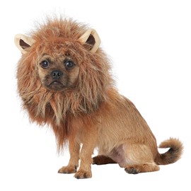 California Costumes Pet King of The Jungle Dog Costume Brown, Small